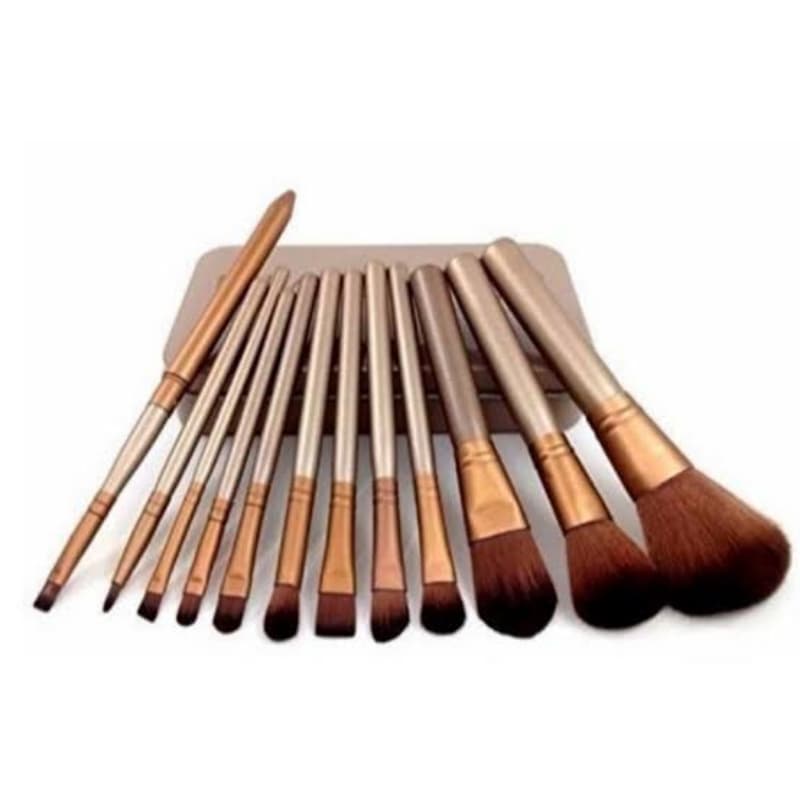 Makeup Brushes Set Tin 12 pcs